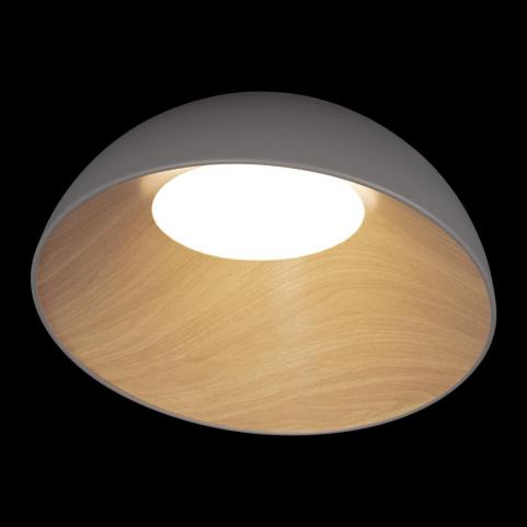 Потолочный светильник Loft IT Egg 10197/500 Grey