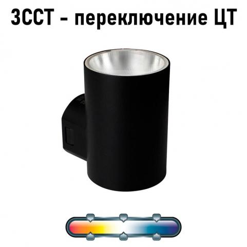 Настенный уличный светильник Arte Lamp Alcyone  A6109AL-1BK
