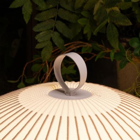 Настольный светильник Divinare Firefly 1808/33 TL-50
