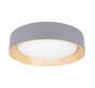 Потолочный светильник Loft IT Coin 10202 Grey