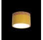 Накладной светильник Loft IT Grape 10162 Yellow