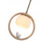 Подвесной светильник Arte Lamp Caprice A4182SP-1BR