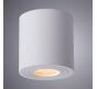 Накладной светильник Arte Lamp Galopin   A1460PL-1WH
