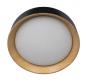 Потолочный светильник Loft IT Coin 10202 Black