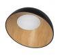 Потолочный светильник Loft IT Egg 10197/500 Black