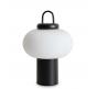 Настольный светильник Freya Take FR6175TL-L10B